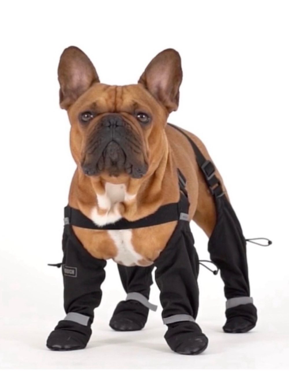Canada Pooch Dog Suspender Boots Short 2 Size Small Dog
